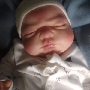 Meet your Posher, Robin